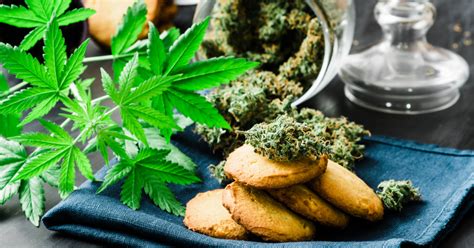 Magical Butter Purger: Revolutionizing the Cannabis Edibles Industry